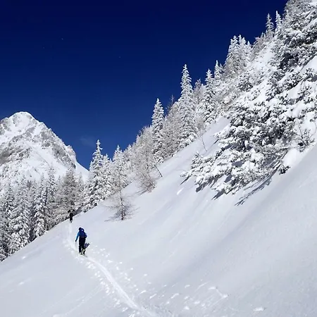 Sunset Apartament Bled