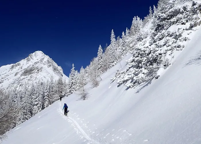 Sunset アパート ブレッド